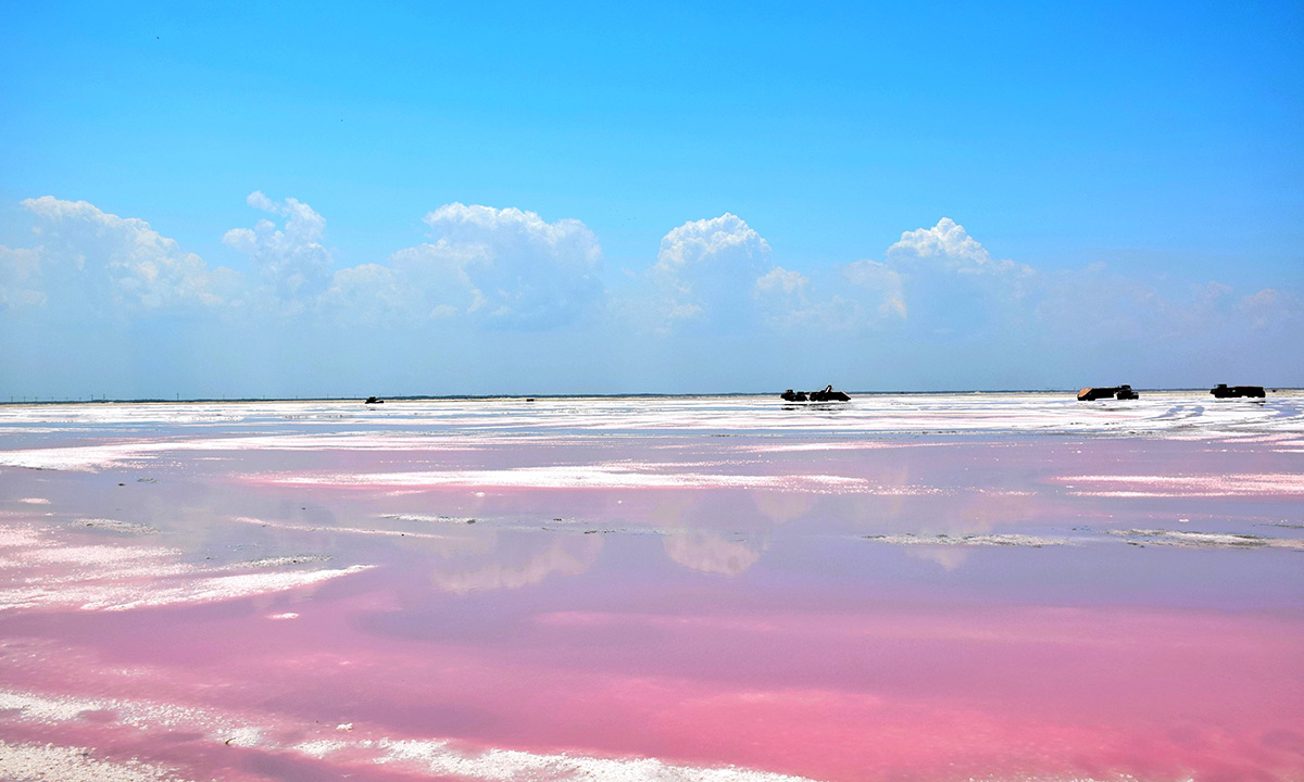 impressive pink lakes in yucatan