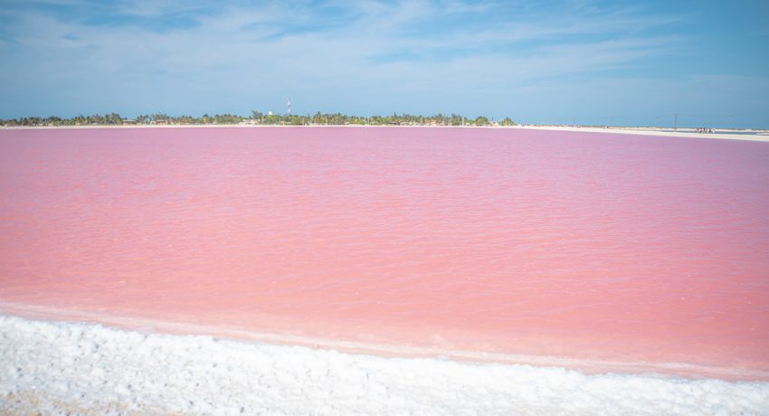 pink lakes of las coloradas in yucatan