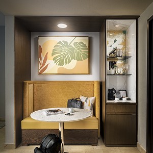 suite features working desk