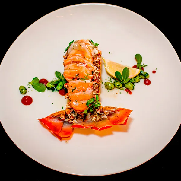 gourmer culinario